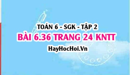 Bài 6.36 trang 24 Toán 6 Tập 2 Kết nối tri thức